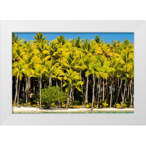 French Polynesia- Bora Bora. Palm trees and beach. White Modern Wood Framed Art Print by Jaynes Gallery
