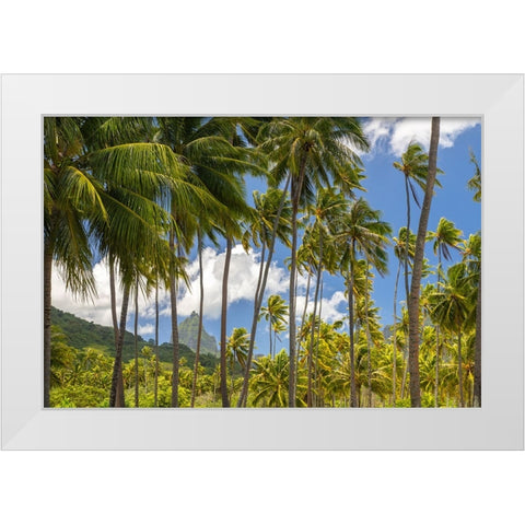 French Polynesia- Moorea. Bali Hai mountain and palm trees. White Modern Wood Framed Art Print by Jaynes Gallery