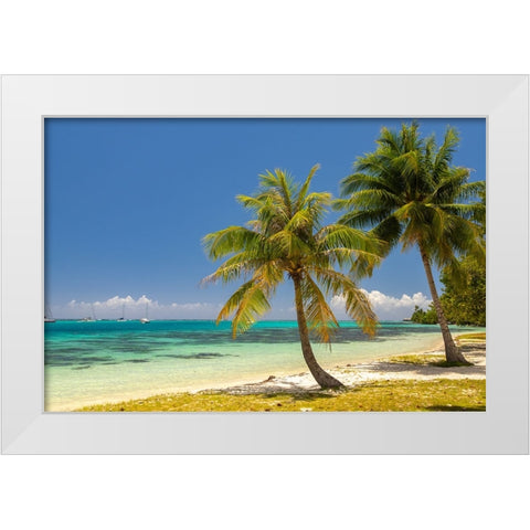 French Polynesia- Moorea. Landscape with moored boats and shore. White Modern Wood Framed Art Print by Jaynes Gallery