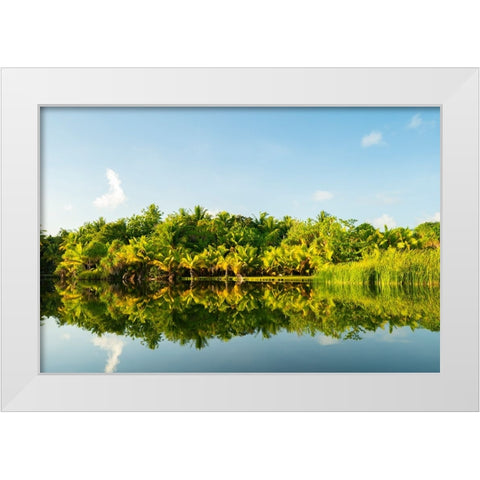 French Polynesia- Tahaa. Tropical jungle reflects in lagoon. White Modern Wood Framed Art Print by Jaynes Gallery