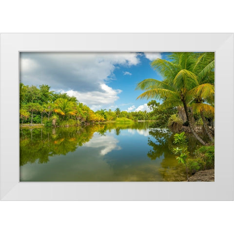 French Polynesia- Tahaa. Tropical jungle reflects in lagoon. White Modern Wood Framed Art Print by Jaynes Gallery