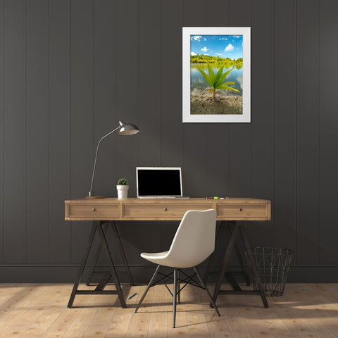 French Polynesia- Tahaa. Tropical jungle reflects in lagoon. White Modern Wood Framed Art Print by Jaynes Gallery