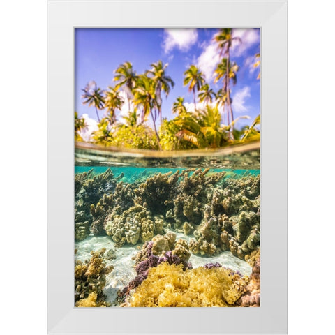 French Polynesia- Tahaa. Under/above water split of coral and palm trees. White Modern Wood Framed Art Print by Jaynes Gallery