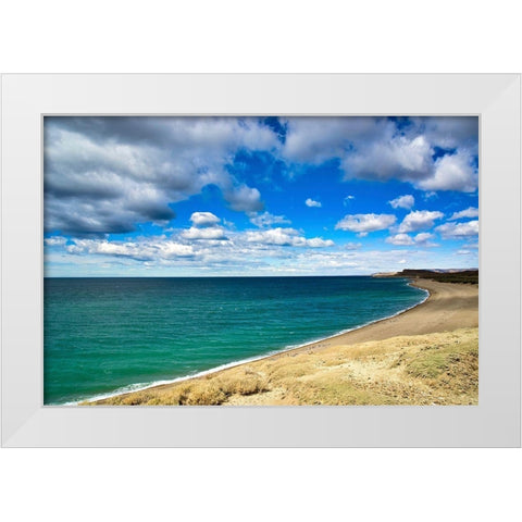 Argentina-Santa Cruz Monte Leon National Park-the only coastal park in Argentina White Modern Wood Framed Art Print by Molinari, Michele