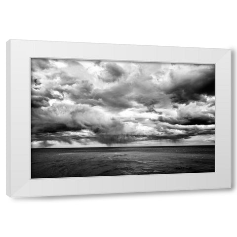 Argentina-Santa Cruz Monte Leon National Park-the only coastal park in Argentina White Modern Wood Framed Art Print by Molinari, Michele