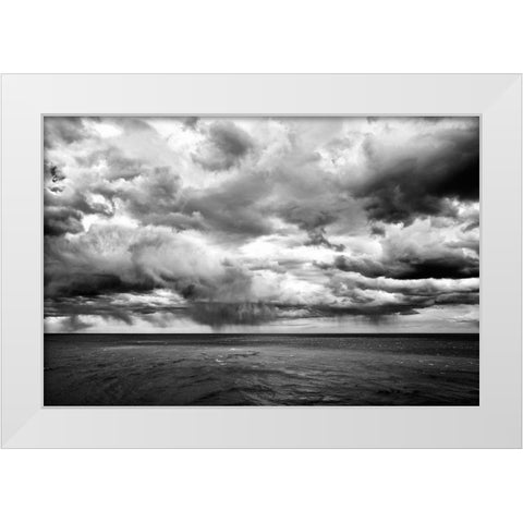 Argentina-Santa Cruz Monte Leon National Park-the only coastal park in Argentina White Modern Wood Framed Art Print by Molinari, Michele