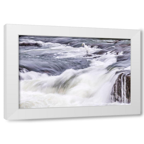 Brazil-Iguazu Falls Landscape of waterfalls  White Modern Wood Framed Art Print by Jaynes Gallery