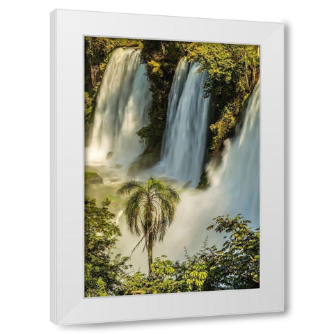 Brazil-Iguazu Falls Landscape of waterfalls  White Modern Wood Framed Art Print by Jaynes Gallery