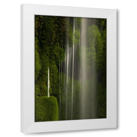 Iguazu Falls- Brazil- South America White Modern Wood Framed Art Print by McDonald, Joe and Maryann