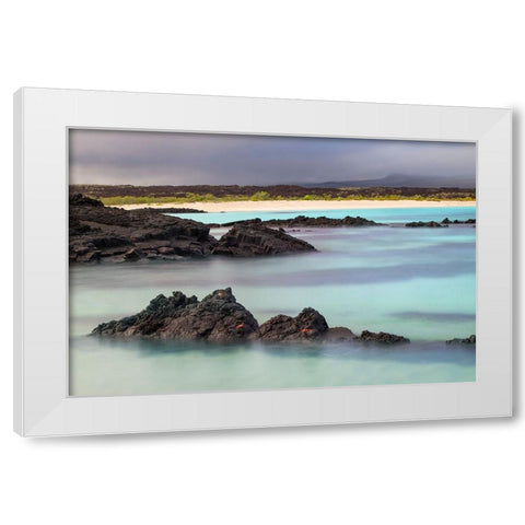 Lava rocks along tranquil shoreline of San Cristobal Island-Galapagos-Ecuador White Modern Wood Framed Art Print by Jones, Adam