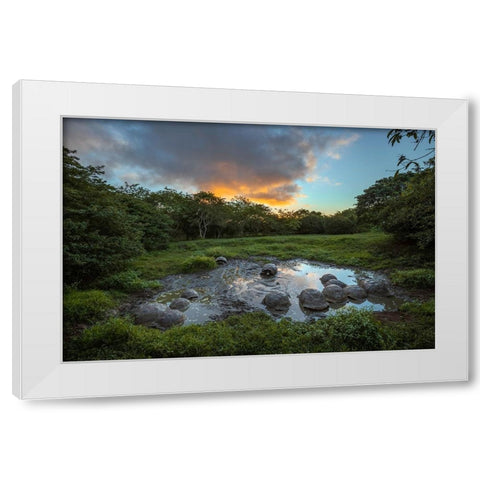 Galapagos giant tortoise gathering in small pond at sunset Genovesa Island-Galapagos Islands White Modern Wood Framed Art Print by Jones, Adam