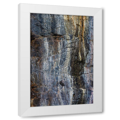 Pattern in rock cliffs of Genovesa Island-Galapagos Islands-Ecuador White Modern Wood Framed Art Print by Jones, Adam