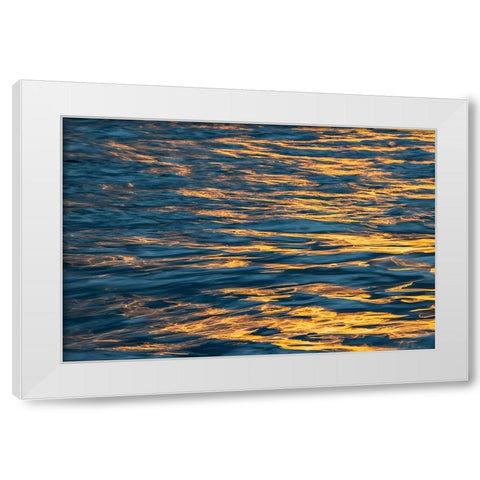 Sunset light on waters off Santa Cruz Island-Galapagos Islands-Ecuador White Modern Wood Framed Art Print by Jones, Adam