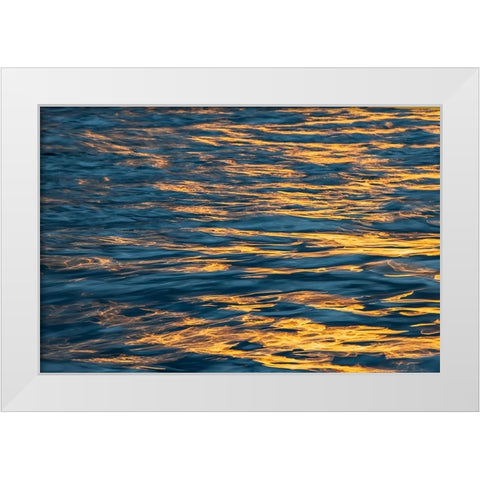 Sunset light on waters off Santa Cruz Island-Galapagos Islands-Ecuador White Modern Wood Framed Art Print by Jones, Adam