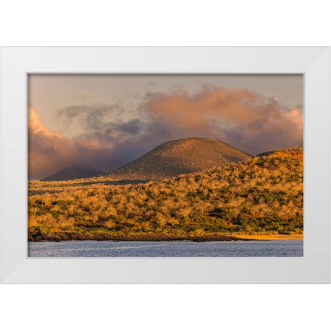 Santiago Island-Galapagos Islands-Ecuador White Modern Wood Framed Art Print by Jones, Adam