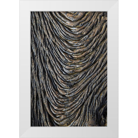 Recent Pahoehoe lava flow-Sullivan Bay-Santiago Island-Galapagos Islands-Ecuador White Modern Wood Framed Art Print by Jones, Adam