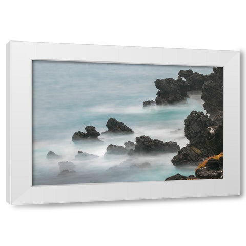 Rocky shoreline of South Plaza Island-Galapagos Islands-Ecuador White Modern Wood Framed Art Print by Jones, Adam