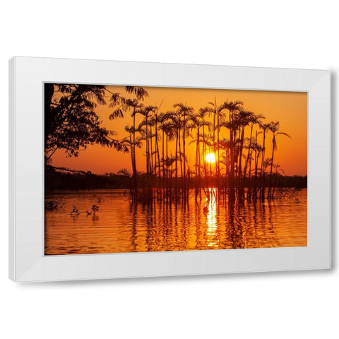 Equator in the Amazon rainforest- trees in Laguna Grande. White Modern Wood Framed Art Print by Sederquist, Betty