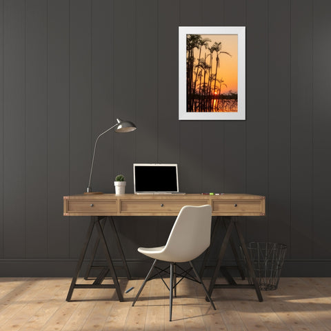 The sun sets at Latitude 0 during this equatorial sunset in the Amazon. White Modern Wood Framed Art Print by Sederquist, Betty