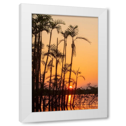 The sun sets at Latitude 0 during this equatorial sunset in the Amazon. White Modern Wood Framed Art Print by Sederquist, Betty