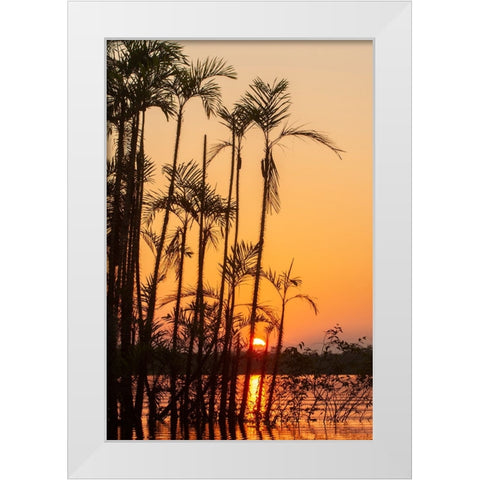 The sun sets at Latitude 0 during this equatorial sunset in the Amazon. White Modern Wood Framed Art Print by Sederquist, Betty