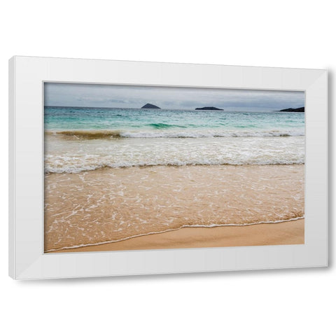 Floreana Island-Galapagos islands-Ecuador White Modern Wood Framed Art Print by Pitamitz, Sergio