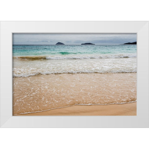 Floreana Island-Galapagos islands-Ecuador White Modern Wood Framed Art Print by Pitamitz, Sergio