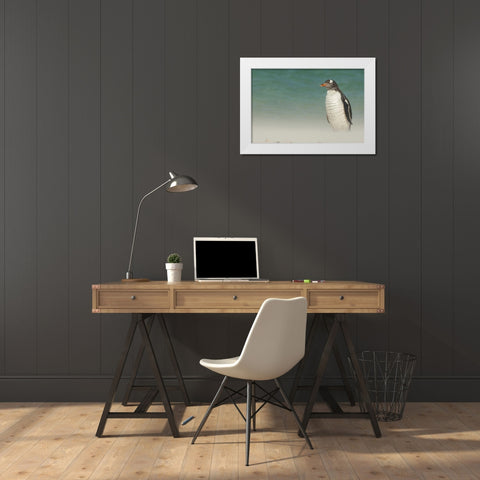 Bleaker Island Gentoo penguin on the beach White Modern Wood Framed Art Print by Illg, Cathy and Gordon