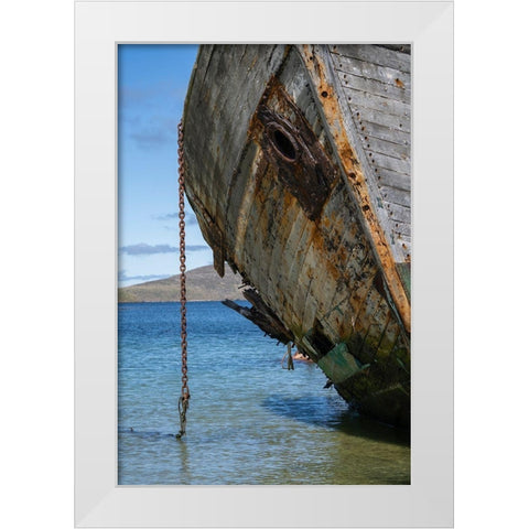 Falkland Islands-New Island Grounded and abandoned ship on shore  White Modern Wood Framed Art Print by Jaynes Gallery