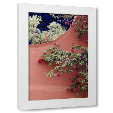Mexico, Bougainvillea and stucco wall White Modern Wood Framed Art Print by Rotenberg, Nancy