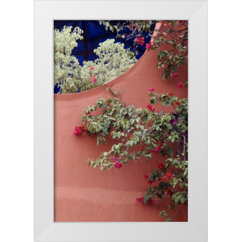 Mexico, Bougainvillea and stucco wall White Modern Wood Framed Art Print by Rotenberg, Nancy