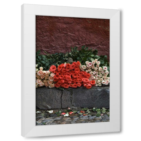 Mexico, San Miguel de Allende, Roses for sale White Modern Wood Framed Art Print by Rotenberg, Nancy