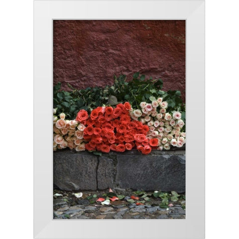 Mexico, San Miguel de Allende, Roses for sale White Modern Wood Framed Art Print by Rotenberg, Nancy
