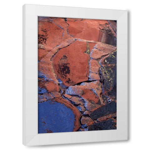 Mexico Patterns on wet cobblestone street White Modern Wood Framed Art Print by Rotenberg, Nancy