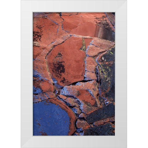 Mexico Patterns on wet cobblestone street White Modern Wood Framed Art Print by Rotenberg, Nancy