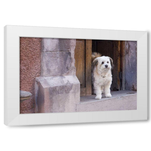 Mexico White dog standing in open doorway White Modern Wood Framed Art Print by Young, Bill