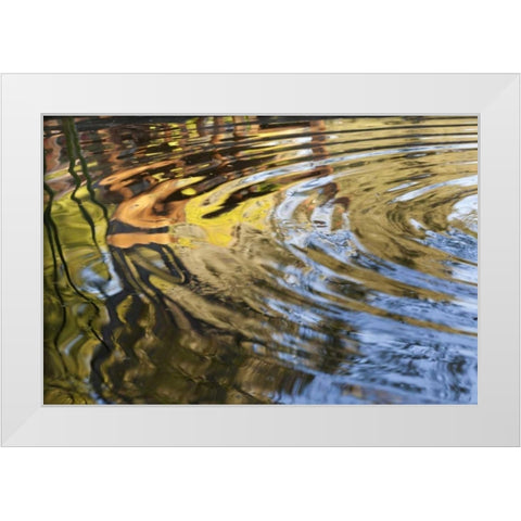Mexico, Tecate Ripples in pool White Modern Wood Framed Art Print by Paulson, Don