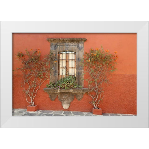 Mexico, San Miguel de Allende Window and plants White Modern Wood Framed Art Print by Paulson, Don