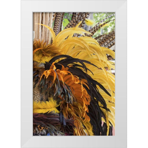 Mexico, San Miguel de Allende Aztec headdress White Modern Wood Framed Art Print by Paulson, Don