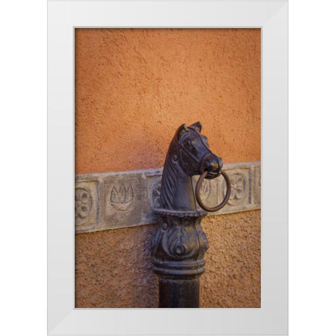 Mexico Horse ring, Guanajuato, Mexico White Modern Wood Framed Art Print by Paulson, Don