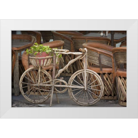 Mexico, Guanajuato Bicycle with potted plant White Modern Wood Framed Art Print by Paulson, Don