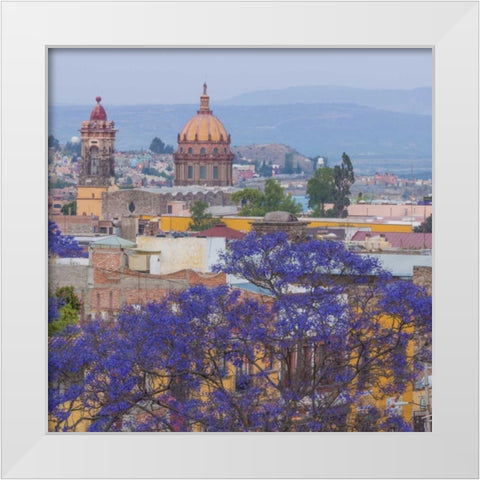 Mexico, San Miguel de Allende Jacaranda and city White Modern Wood Framed Art Print by Paulson, Don