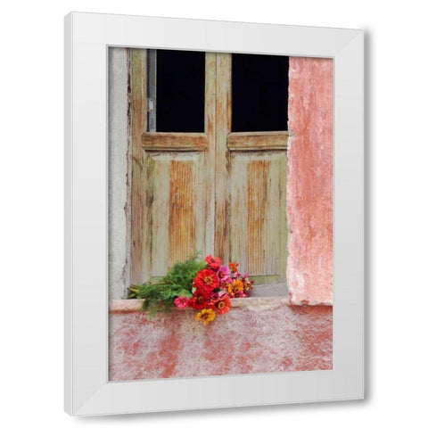 Mexico Zinnias outside window frame White Modern Wood Framed Art Print by Rotenberg, Nancy