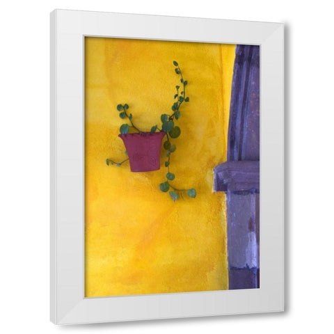 Mexico, San Miguel de Allende Planted pot White Modern Wood Framed Art Print by Rotenberg, Nancy