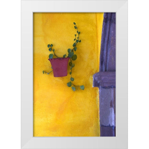 Mexico, San Miguel de Allende Planted pot White Modern Wood Framed Art Print by Rotenberg, Nancy