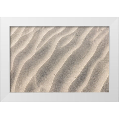 Guerrero Negro- Mulege- Baja California Sur- Mexico. Sand dunes along the western coast. White Modern Wood Framed Art Print by Wilson, Emily M.
