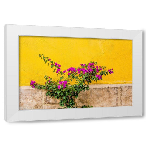 Plant against wall in Tlaquepaque-near Guadalajara-Jalisco-Mexico White Modern Wood Framed Art Print by DeFreitas, Michael