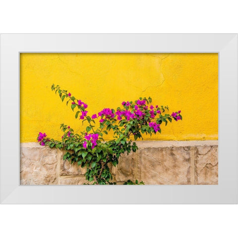 Plant against wall in Tlaquepaque-near Guadalajara-Jalisco-Mexico White Modern Wood Framed Art Print by DeFreitas, Michael