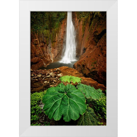 Catarata Del Toro Waterfall-in the mountains of Bajos del Toro Amarillo-Sarchi-Costa Rica White Modern Wood Framed Art Print by Jones, Adam