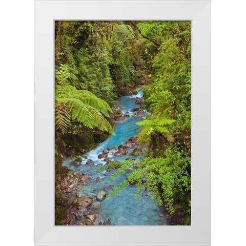 Small stream or creek-Costa Rica White Modern Wood Framed Art Print by Jones, Adam